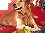 PRE-bone-giveBone+boneGiven.png