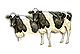 -HDN-barn-cattle.png