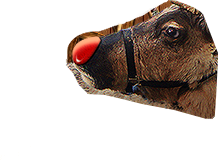 PRE-carrots-rudolph+feed.png