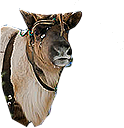 PRE-carrot-giveCarrot+feed.png