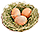 HDN-eggs.png