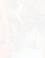 PRE-carrot-feedHorse+done.png