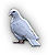 -HDN-dovecot-peace_dove.png