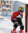 PRE-skiPoles-givePoles+given.png