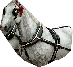 PRE-bridle-fixBridle+done