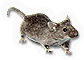 HDN-mouse.png