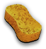 Sponge
