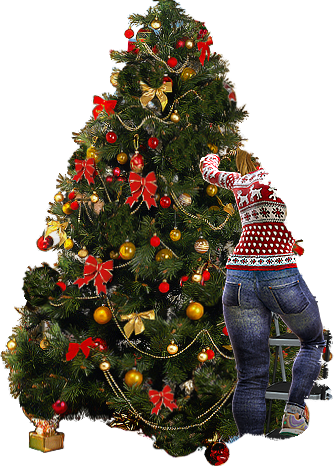 PRE-baubles-placeBaubles+baublesAdded