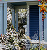 PRE-xmasTree-treePorch+delivered.png