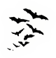 -HDN-church-bat_colony.png