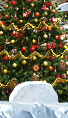 PRE-snowman1-buildSnowman1+build1.png