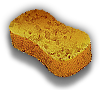 Sponge