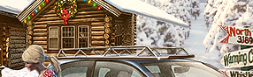 PRE-tree-treeCar+car.png