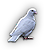 -HDN-dovecot-dove.png