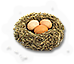 HDN-eggs.png