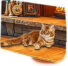 PRE-saucer-saucerCat+giveSaucer.png