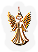 BNS-angel-m1.png