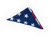 INS-flag.png