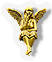 BNS-angel-m1.png