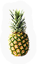 HDN-pineapple.png