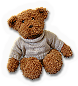 BSL-bear_02.png