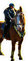 PCK-cop-m1.png