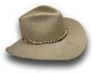 BSL-stetson