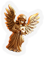 BNS-angel-m2.png
