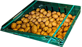 HOT-spuds.png