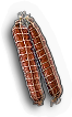 INS-salami.png