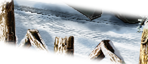 PRE-rail-fixBridge+bridgeFixed.png