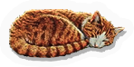 REQ-cat.png