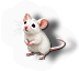 HDN-mouse.png