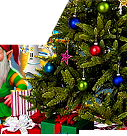 HOT-tree.png