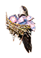 -HDN-chimney-swifts_nest.png