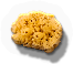 INS-sponge.png