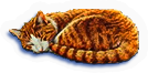 PCK-cat.png