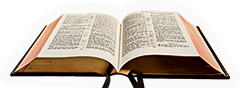 Bible