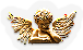 BNS-angel.png
