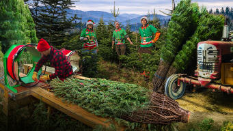 rot_treeFarm from Christmas Wonderland 17
