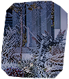 HOT-plants.png