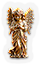 BNS-angel-m1.png