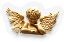 BNS-angel-m2.png