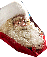 PRE-cookies-feedSanta+santaFed.png