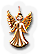 BNS-angel