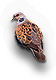 Turtle Dove