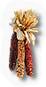 PCK-indian_corn.png