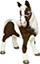 HDN-pony.png