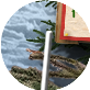 PRE-sign-xmastree+place.png