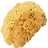 HDN-sponge.png